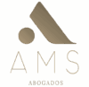 ams logo color